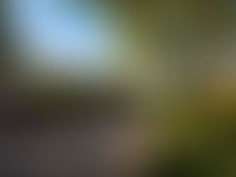 Furniture removal Lilyfield terrace house move