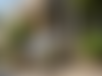 Sydney Inner City Smart Moving Guide: Prices, Times & Suburb Experts