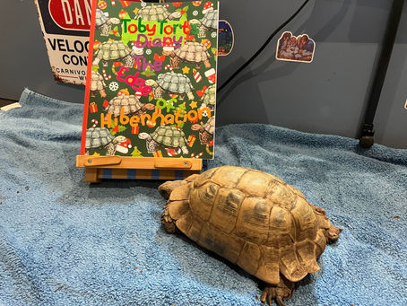 Toby Tort's Diary: The Edge of Hibernation - Day 13