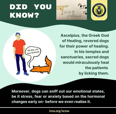 Did you know.jpeg