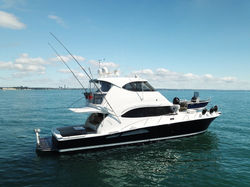 Riviera 61