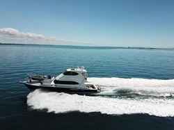 Riviera 61