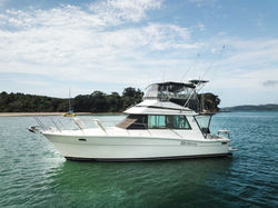 Riviera 35