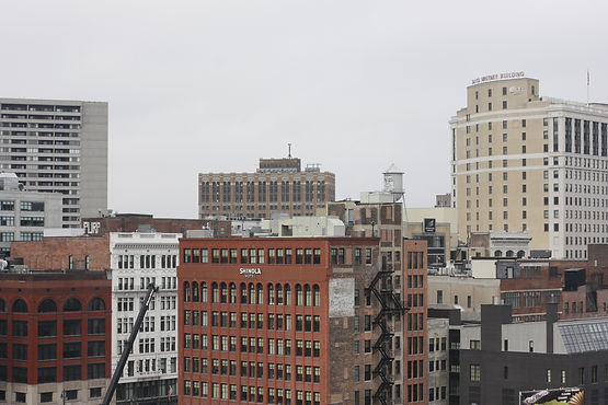Professtional services, IT Staffing and consulting Metro-Detroit