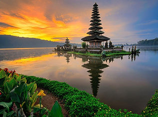 Explore Bali tours with a trusted local operator.
