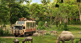 cheap-Bali-SafariPark-Ticket.jpg