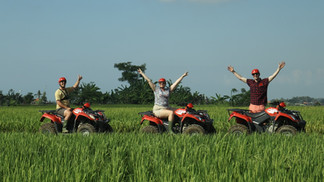 Riding ATV through rice fields in Ubud
