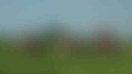 Riding ATV through rice fields in Ubud