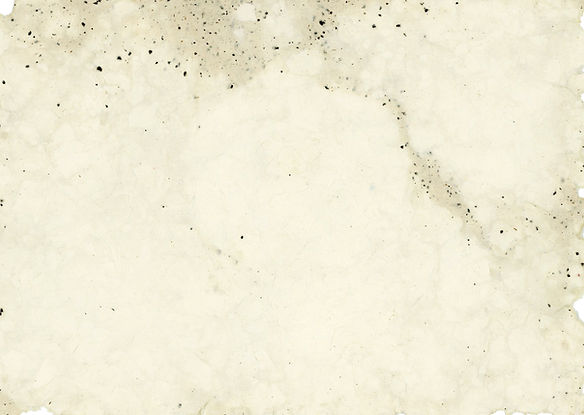 ceeline-cotton-1011437_edited.jpg