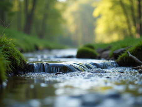 The Power of Mindfulness in Everyday Life
