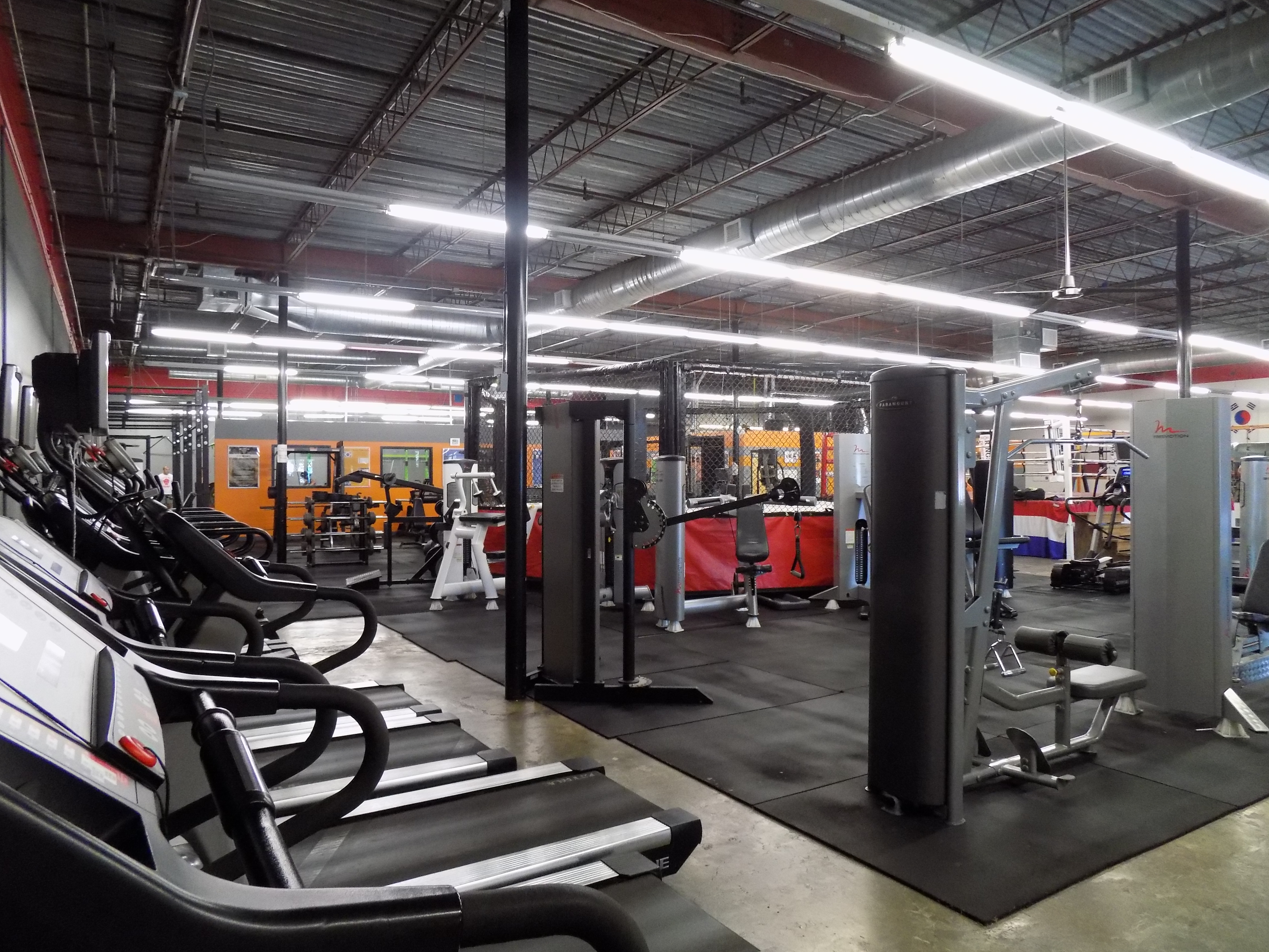 bas rutten gym equipment bas rutten gym equipment