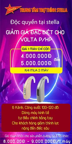STELLA-SALE-4.webp