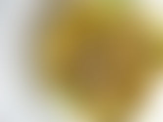 Miso Roasted Corn & Avocado Salad