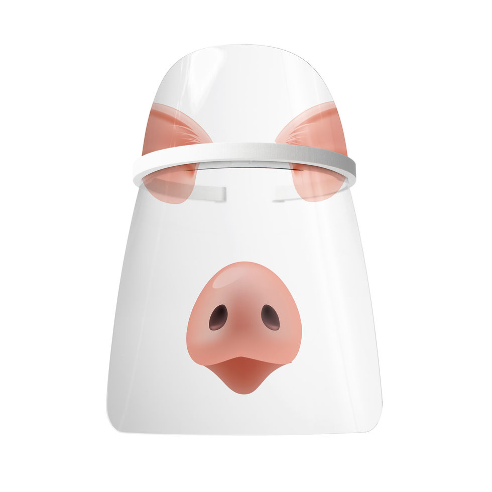 Piglet Pal HATCH Exhibits