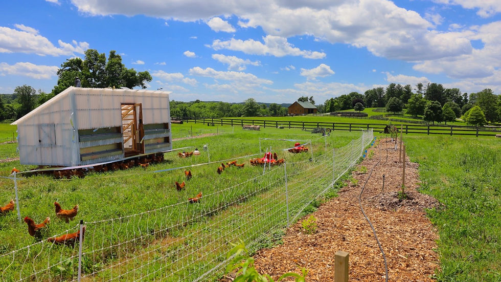 Screen Shot 2025-01-17 at 2.22_edited.jp