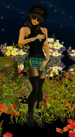 Evening Park1