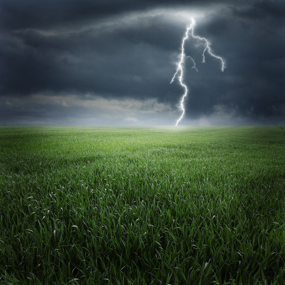 Storm, thunder on the field.jpg