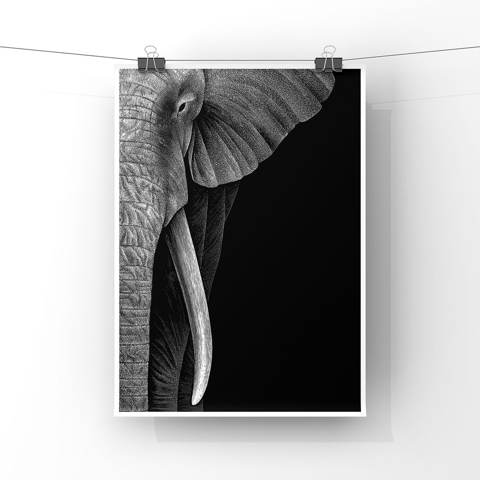 Thumbnail: Tusk