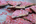 Candy Canes: It's That Time of Year