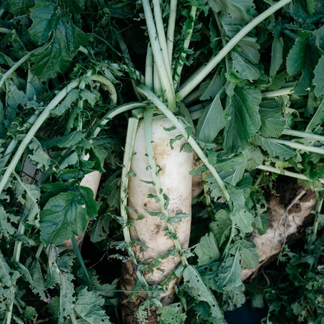 Sudden Onset Gardening