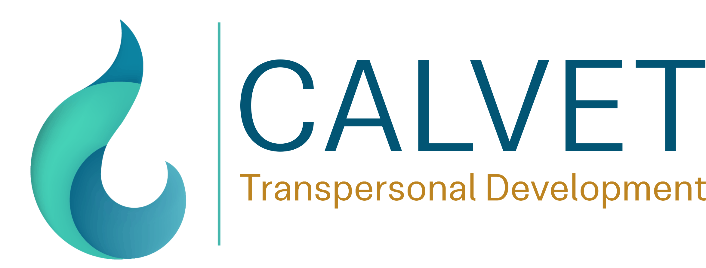 CALVET horiz sin fondo ing.gif