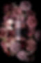 wakse-made-by-two-hairy-guys-rose-gold-1