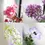Thumbnail: Printable Seed Paper Greeting Card-Blank message