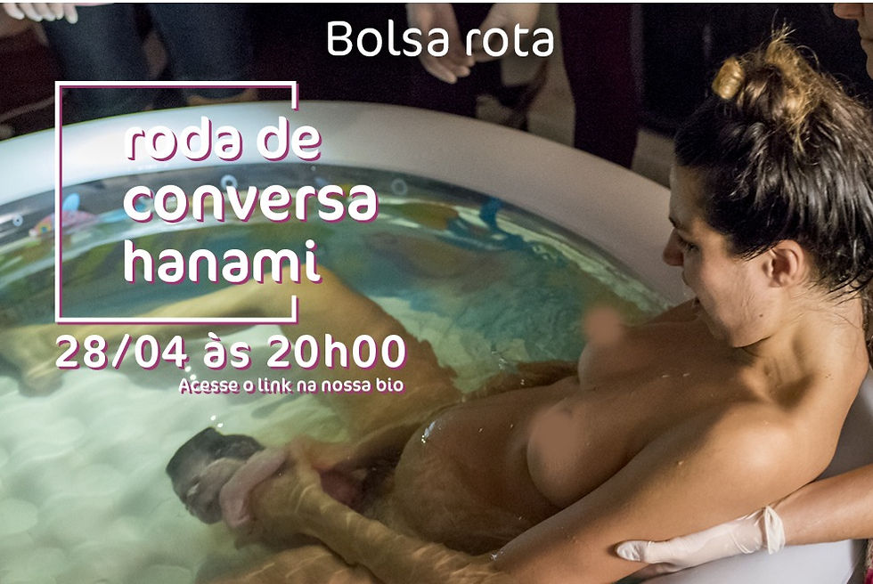 Conversando sobre BOLSA ROTA