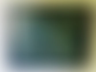 It's Art All the Time!! The Journey of Hannah Rainy