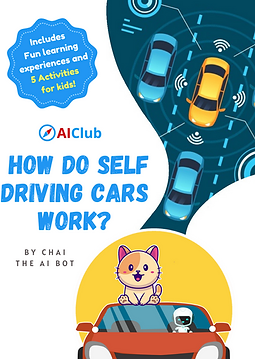 2 Self driving cars AIClub FINAL.png