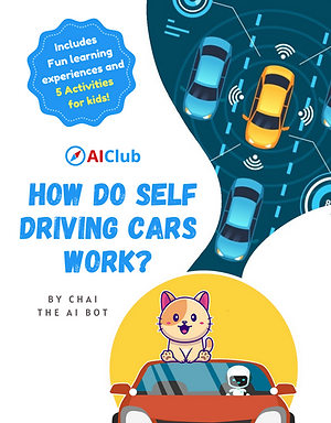 2 Self driving cars AIClub FINAL.png
