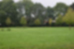 DSC_2152.jpg