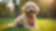-post-ai-image-15820.png