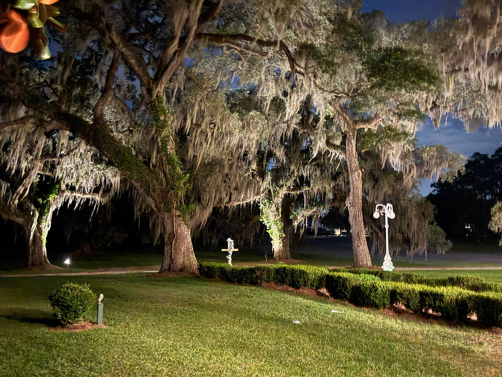 Hilton Head area hotel