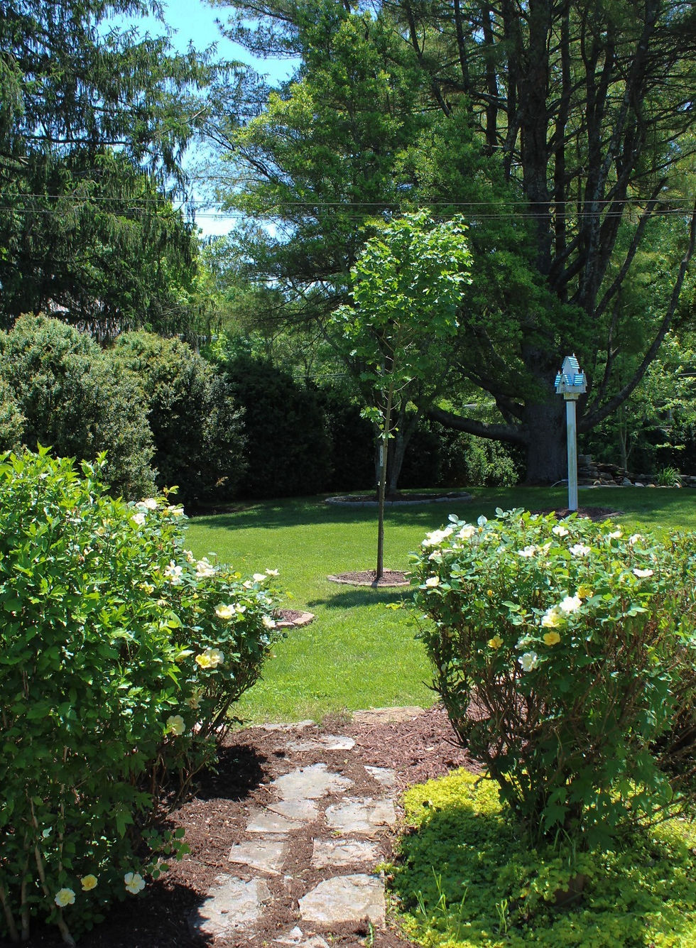 gatherings near Emory and Henry College