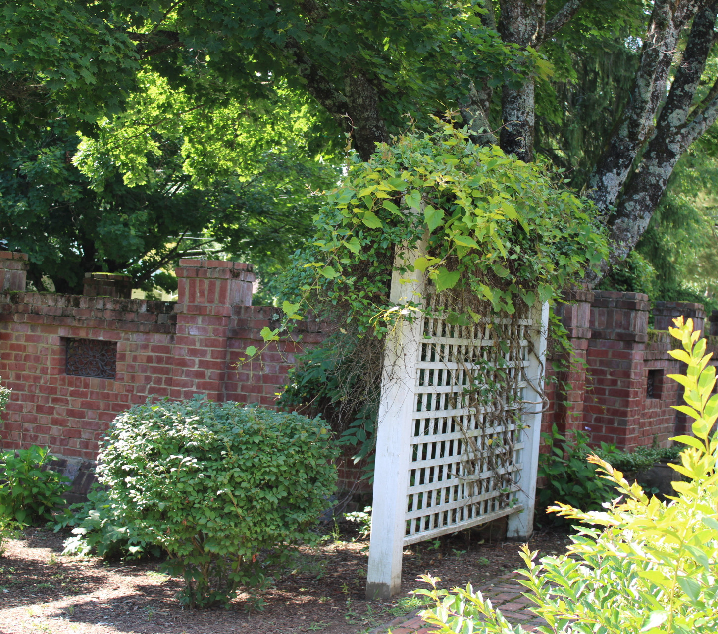 Home The Emory House Bed and Breakfast in Emory VA