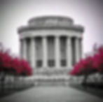 Memorial B & W with pink trees edited