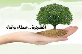 حملة التشجير