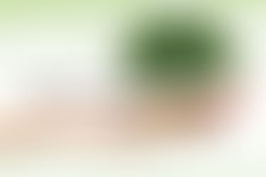 حملة التشجير