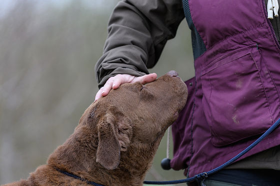 Gundog Holiday 4.23-8431.jpg