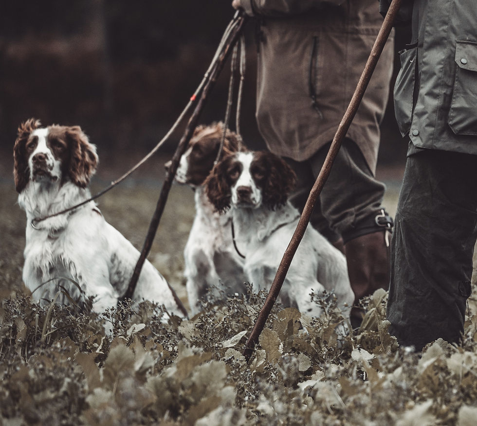 Advanced Hunting - Prep for shoot season