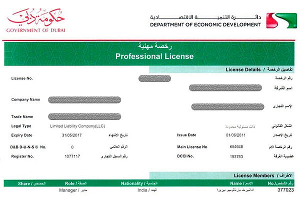 Business extablishment uae.jpg