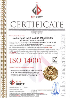 Tarama_20210525 (5).jpg