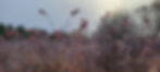 20241102_085850.jpg
