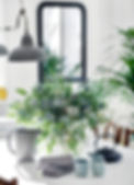 Stylist Table and Plants
