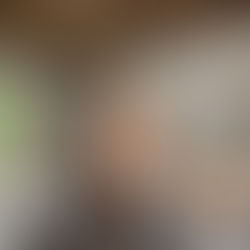 Гуцульские апартаменты / replus design bureau