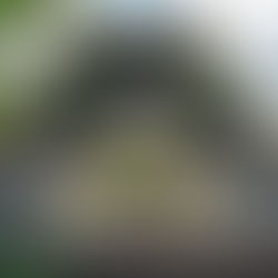 Павильон-рефлектор / Atelier ARI