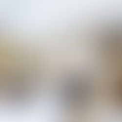 Biotope Office Building / Henning Larsen + KeurK architecture