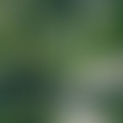 Общественный туалет / Edge Studio