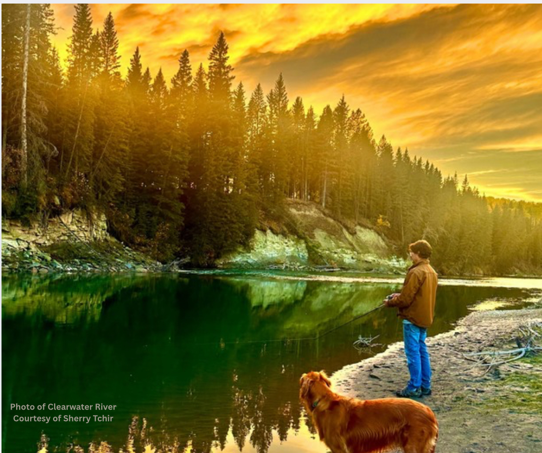 Tay River Wilderness Resort